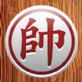 bet by online casino截图